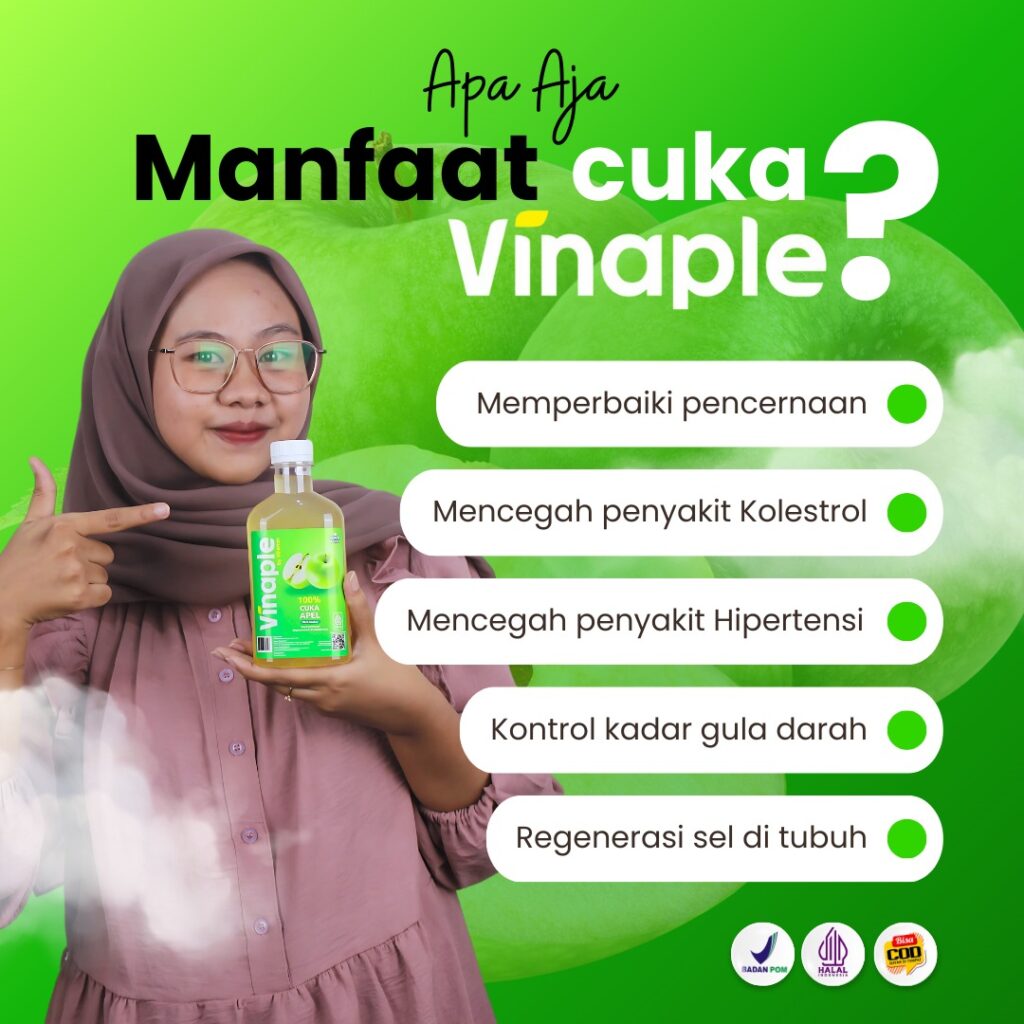 vinaple rsh-21